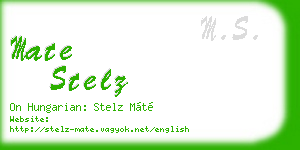 mate stelz business card
