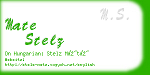 mate stelz business card